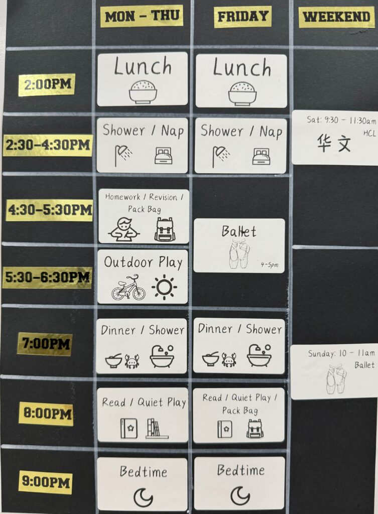 Niimbot B21_timetable